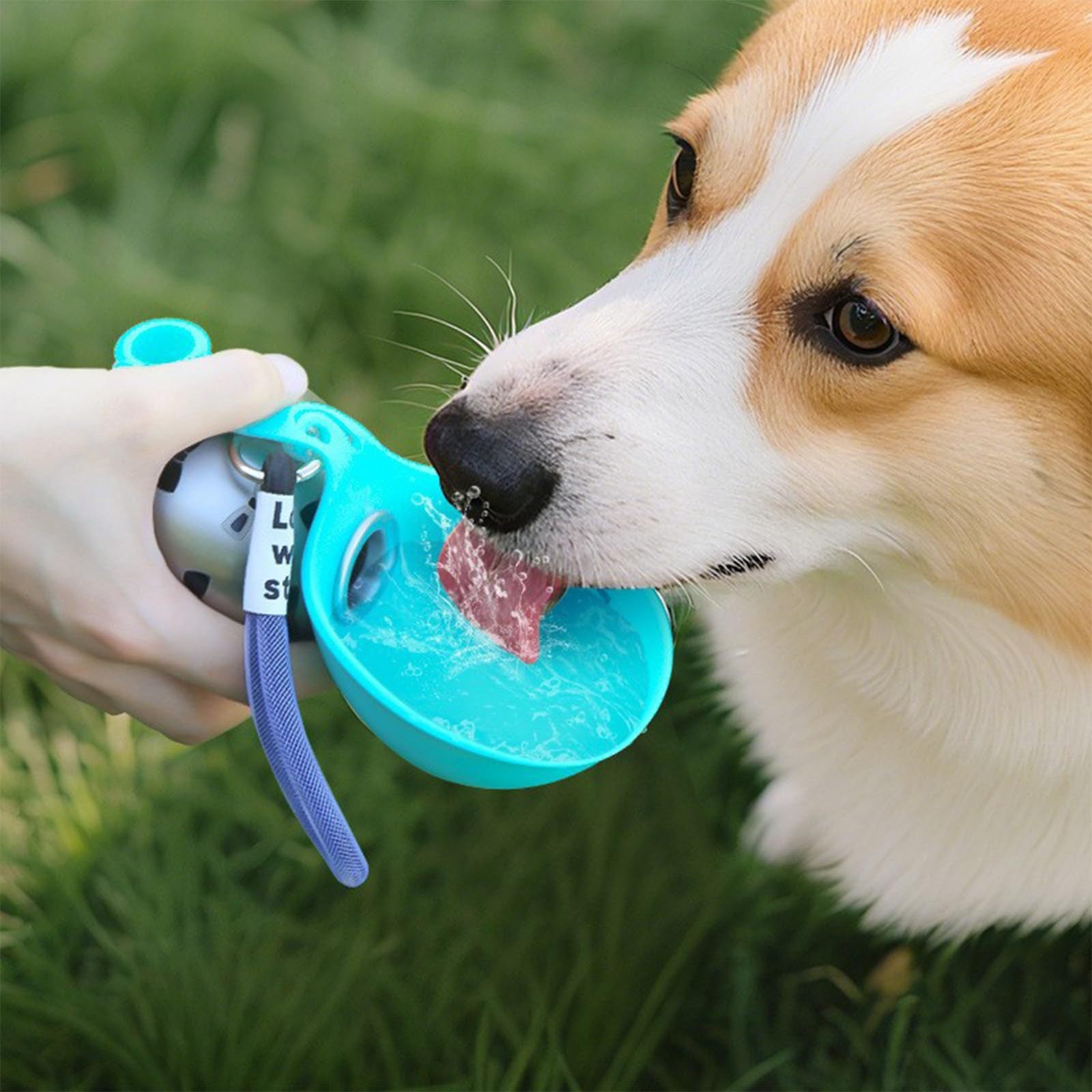 Collapsible Pet Water Bowl – Stainless Steel & Food-Grade Silicone | Travel Ready