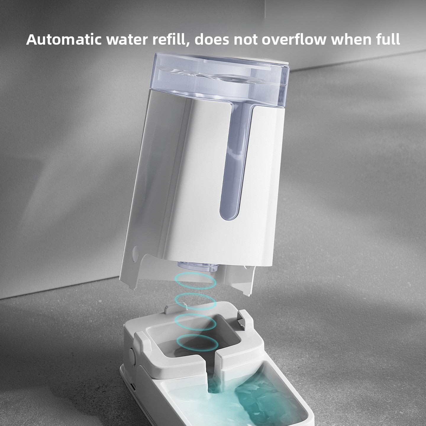 Automatic Pet Feeder and Water Dispenser